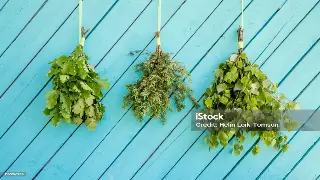 武汉市顶级桑拿会所推荐：养生之旅的理想选择 图片