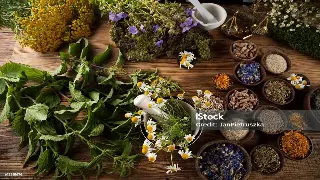 江城桑拿新体验：武汉特色桑拿会所尊享推荐 海报