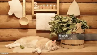 汉味慢生活：武汉按摩里的老街故事与养生哲学