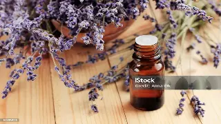 江城桑拿的文化脉络：探寻武汉水疗的地域风情与历史积淀