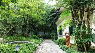 解码老汉口的养生密码：从热干面到汉绣，感受地道武汉的精气神