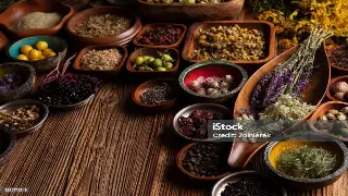 武汉伢的养生秘笈：解锁季节限定的活力搭配，不做“蔫吧”的江城人！