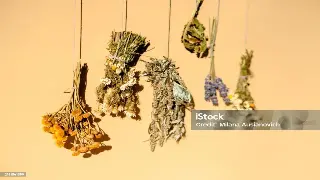 告别亚健康！武汉人的专属养生搭配秘籍，让你元气满满一整天！